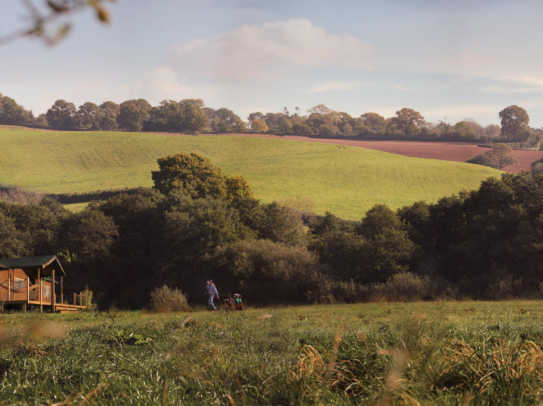 Lantern & Larks - Kittisford Barton
