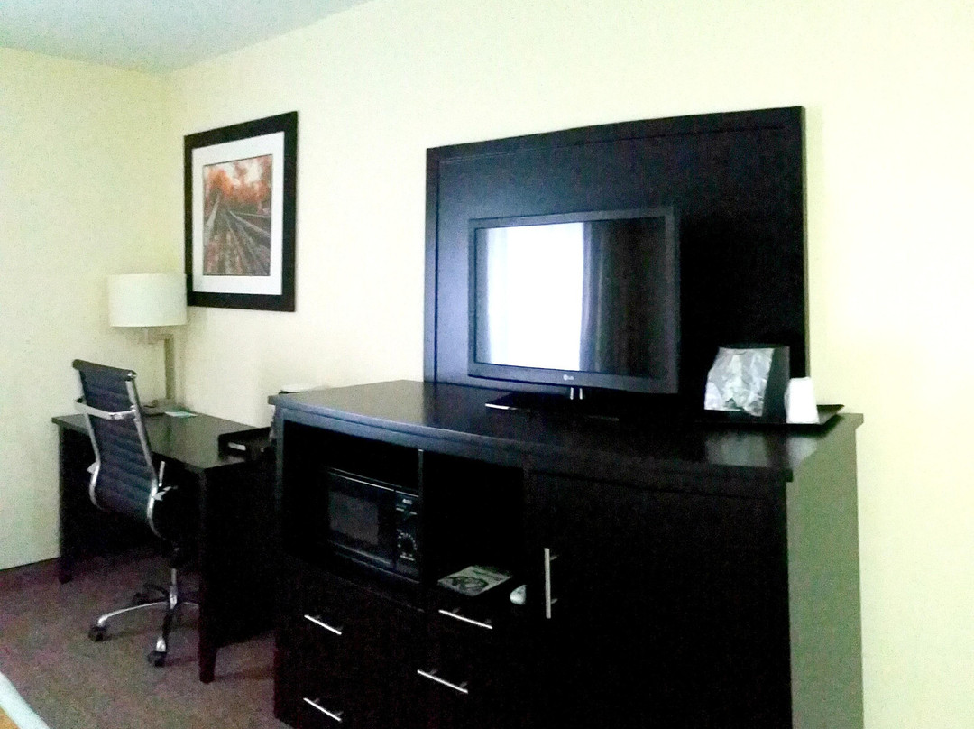 Rodeway Inn & Suites