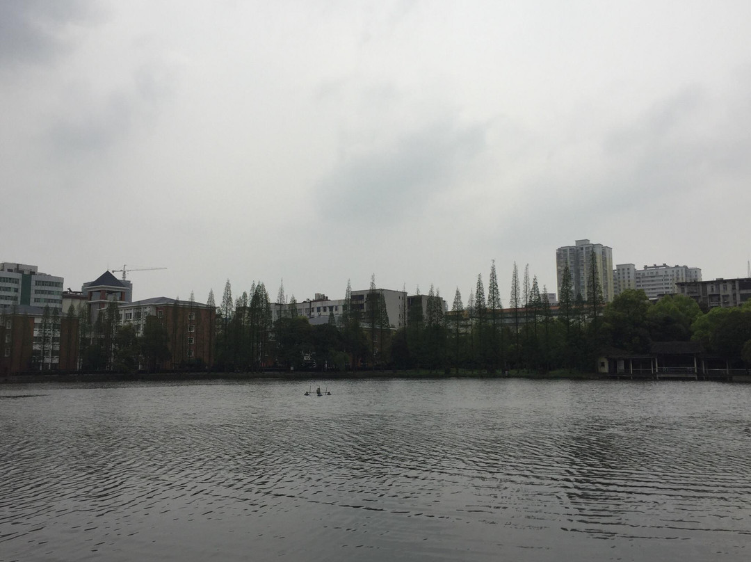 西湖公园-衡阳市必去景点