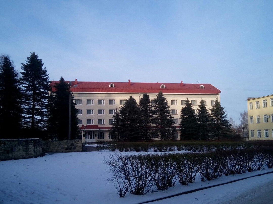Hotel Druzhba