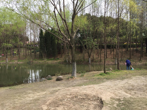 大宁灵石公园-上海市必去景点