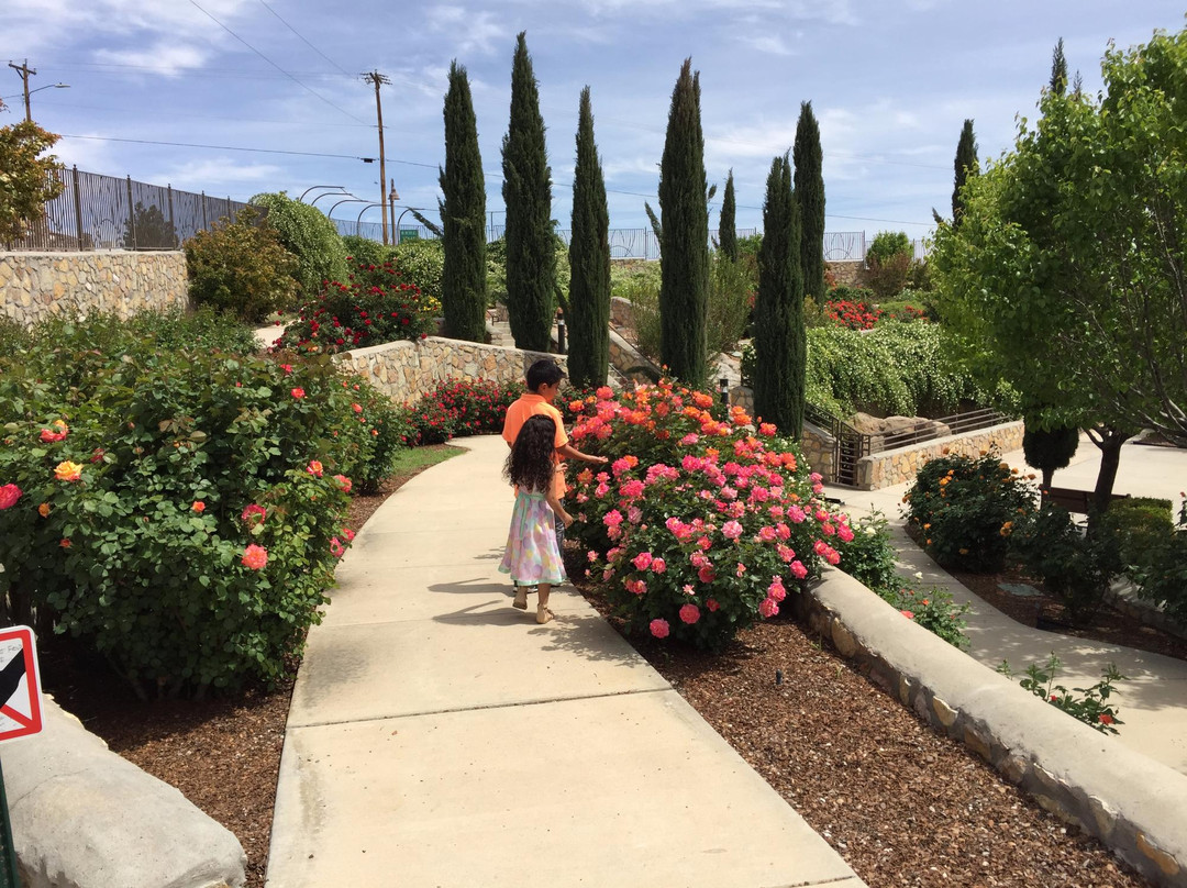 El Paso Municipal Rose Garden-埃尔帕索必去景点