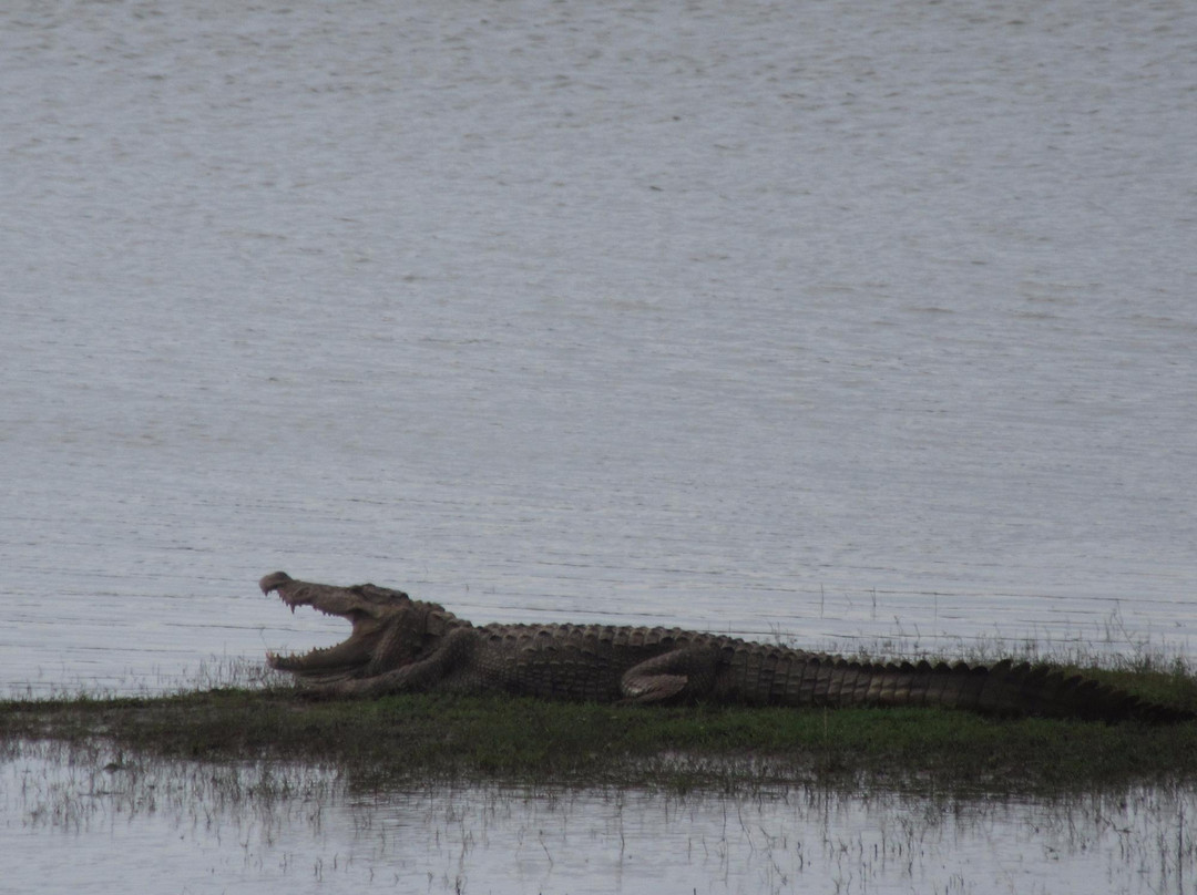 Okanda Devalaya-雅拉国家公园必去景点