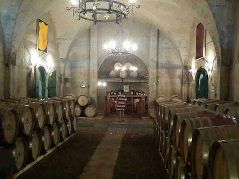 Easy Rider Wine Tours-斯泰伦博斯必去景点