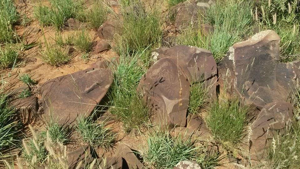 Wildebeest Kuil Rock Art Centre-金伯利必去景点
