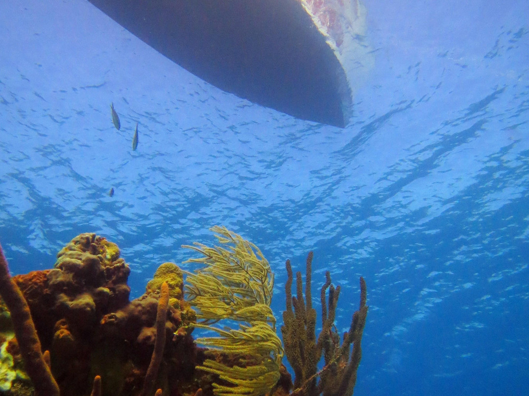 Seasports Diving-七哩滩必去景点