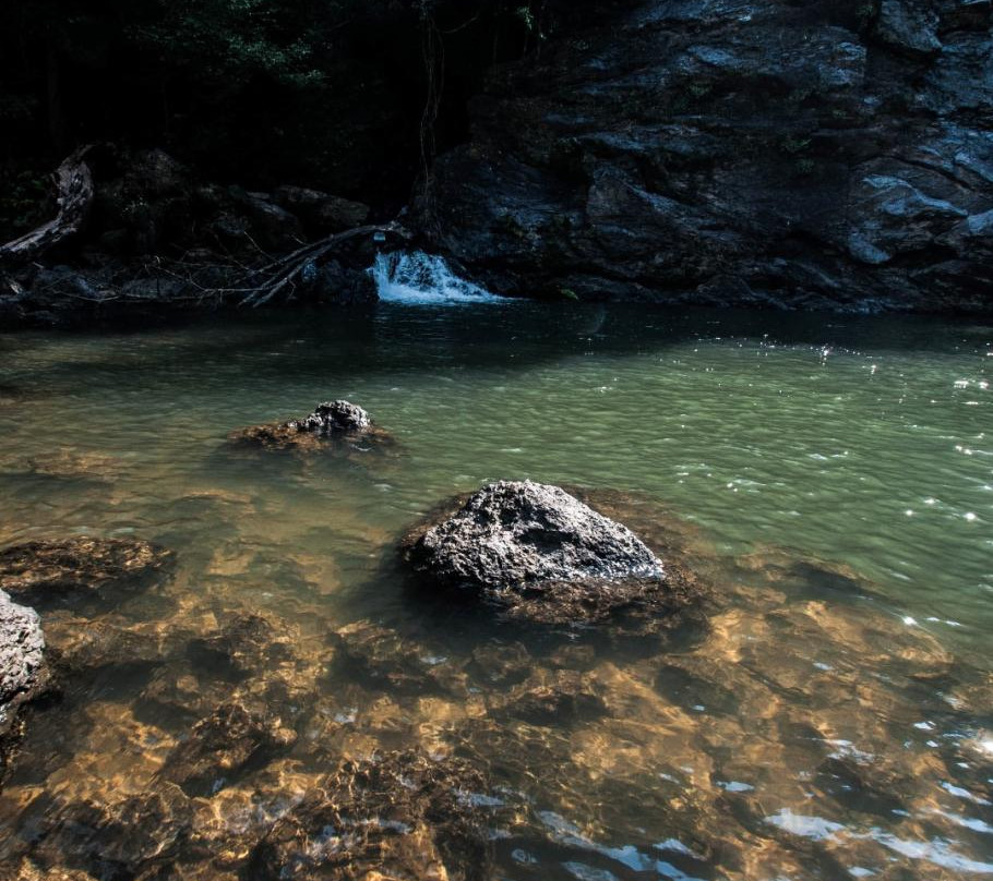 Jogigundi Falls景点图片