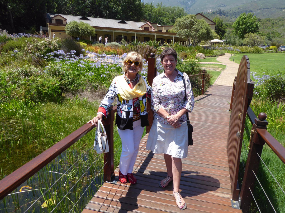 Taste the Cape Travel & Tours - Day Tours-开普敦中心区必去景点