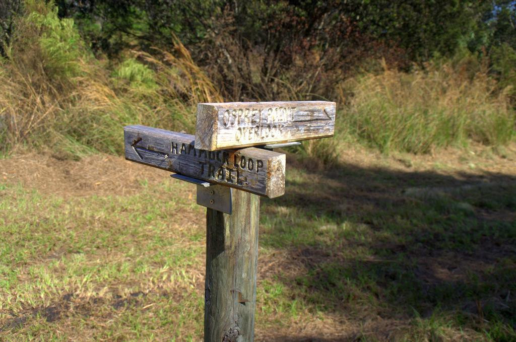 Cypress Creek Natural Area-朱庇特必去景点