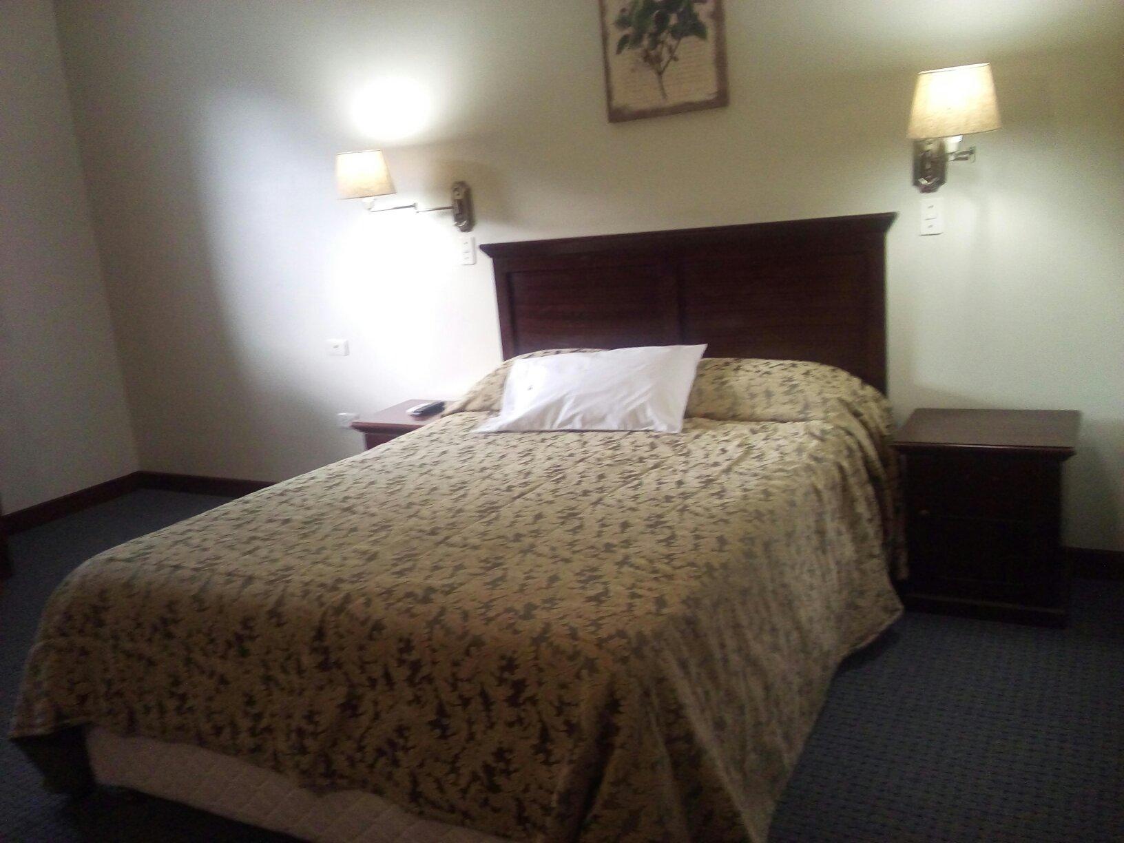 Hotel Presidente Selva-官方