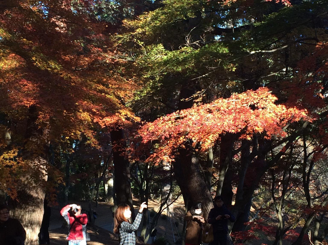 Shuzenji Nature Park-伊豆市必去景点