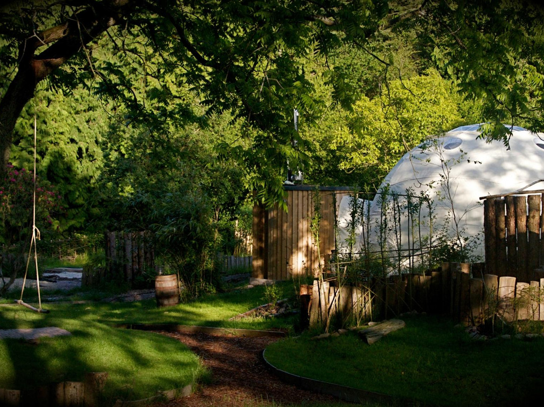 Dome Garden