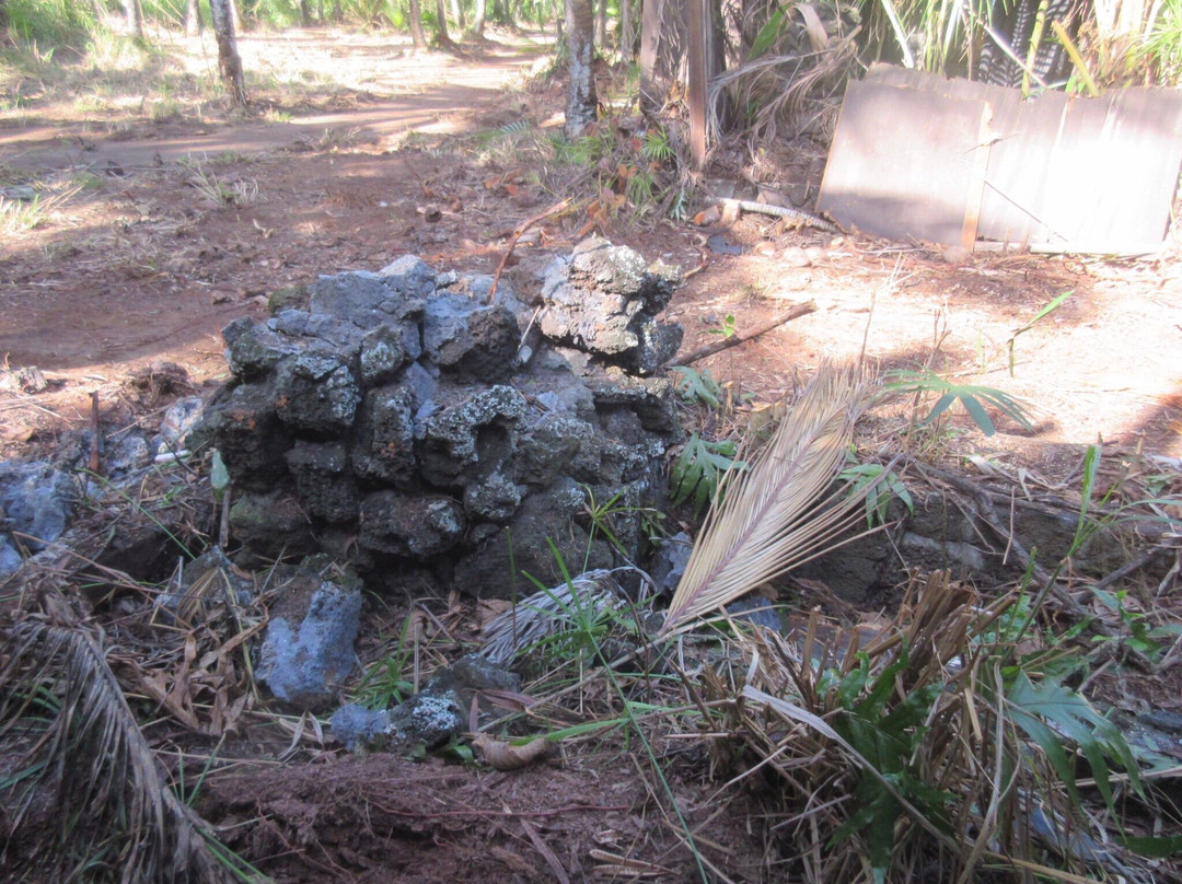 Coco Palms Tours-卡帕阿必去景点