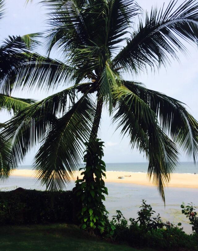 Dr. Franklin's Panchkarma Research Centre Hotel主图