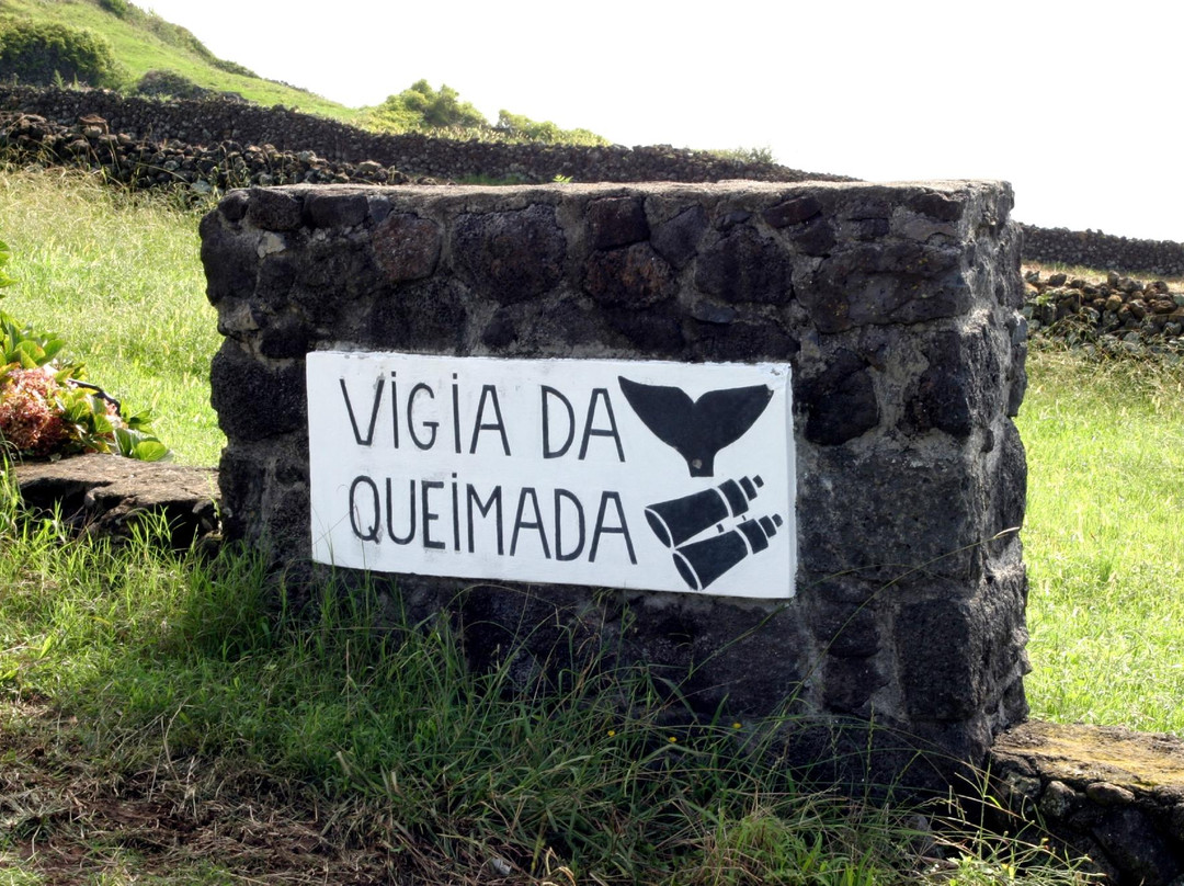 Vigia da Queimada-Lajes do Pico必去景点