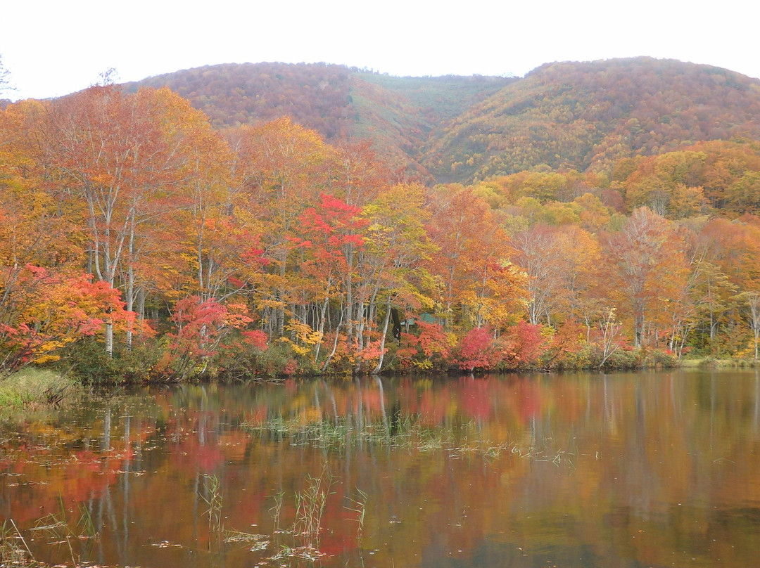 Shiraike Lake景点图片