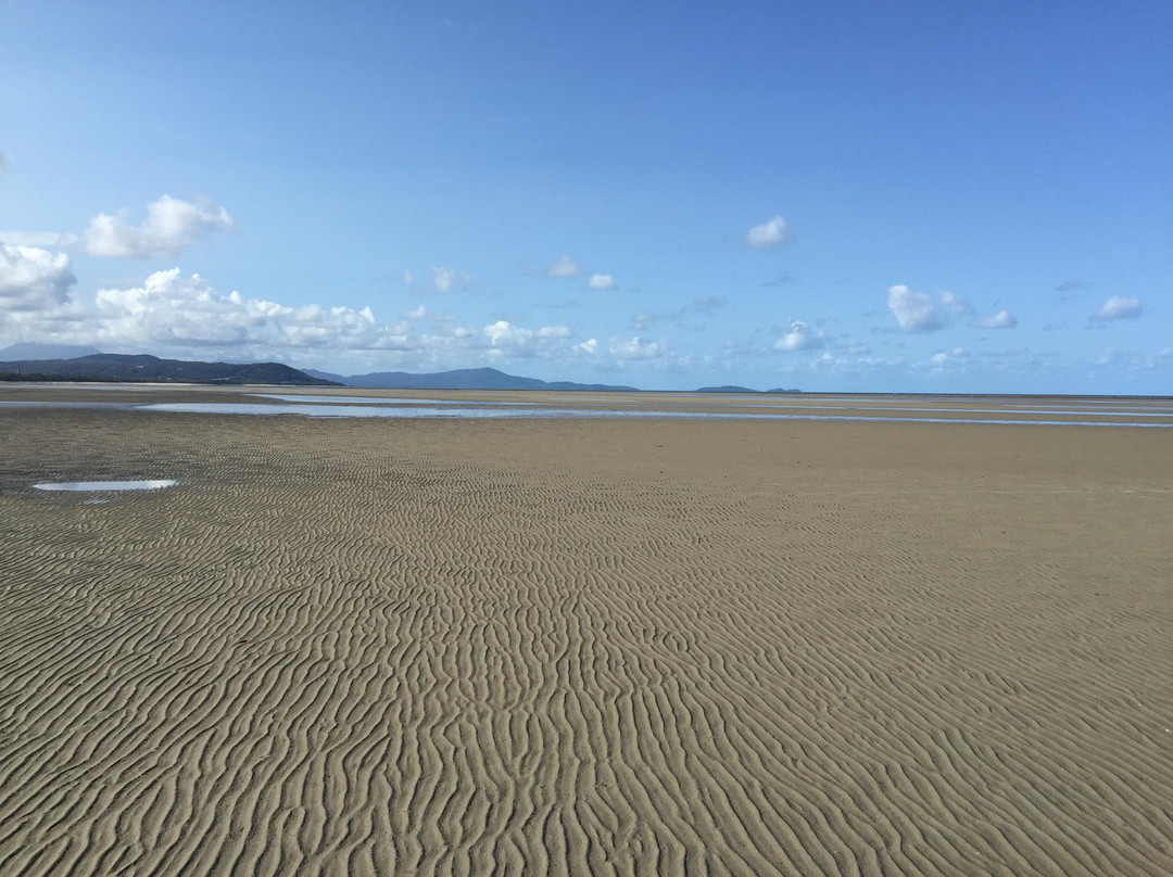 Kuku yalanji cultural heritage beach walk