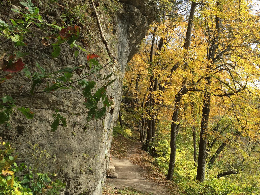 Backbone State Park-Dundee必去景点