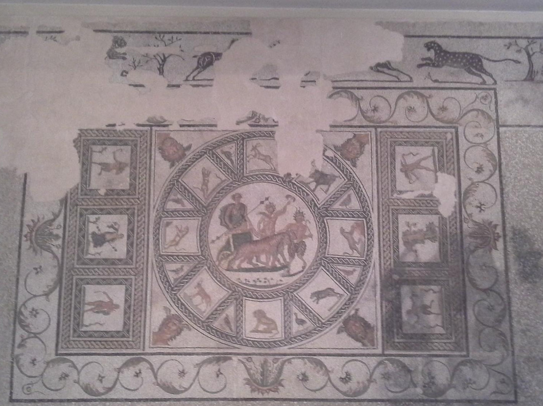 Museo Archeologico Nazionale di Sarsina景点图片