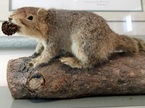 Chumash Indian Museum-千橡市必去景点