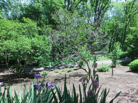 Rodman Hall Art Centre-圣凯瑟琳斯必去景点