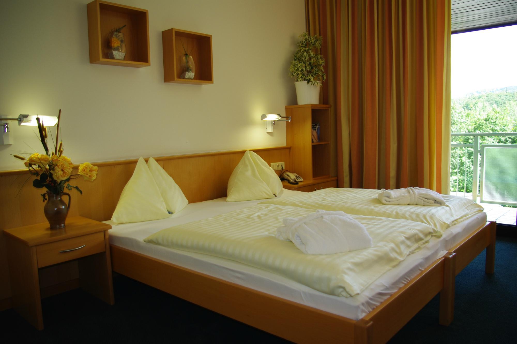 Seminar Park Hotel Hirschwang-客卧