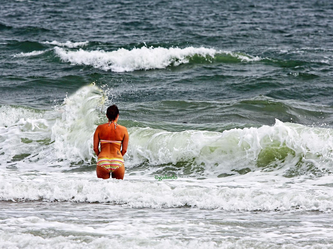 Sandbridge Little Island Fishing Pier-弗吉尼亚海滩必去景点