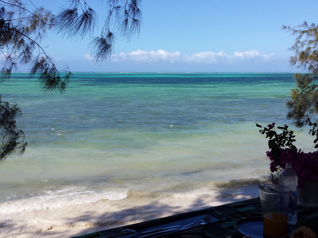 Maisha Mazuri Horse Riding Club