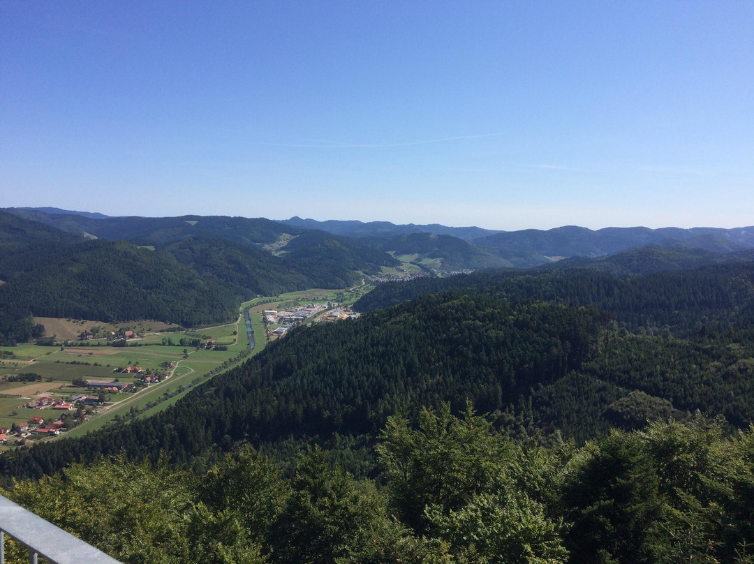 Aussichtsturm Urenkopf景点图片