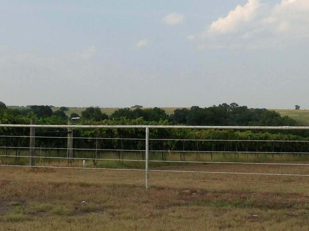 Saddlehorn Winery-Burton必去景点