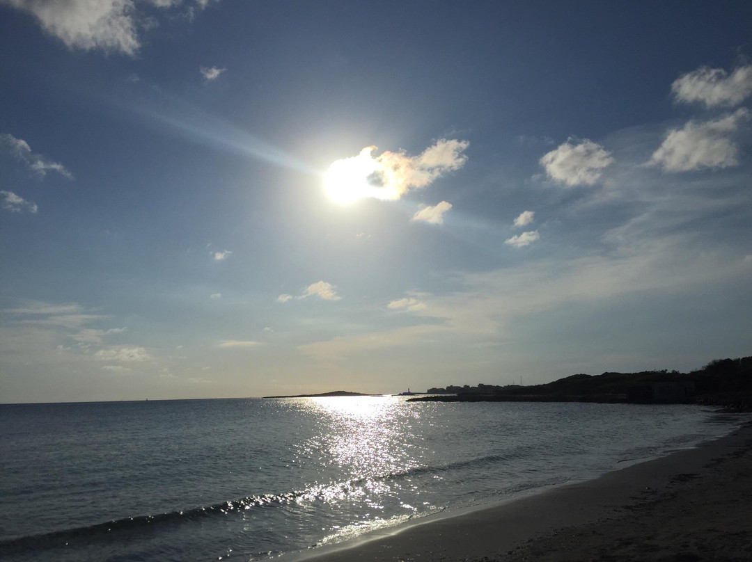 Platja D'es Carbo景点图片