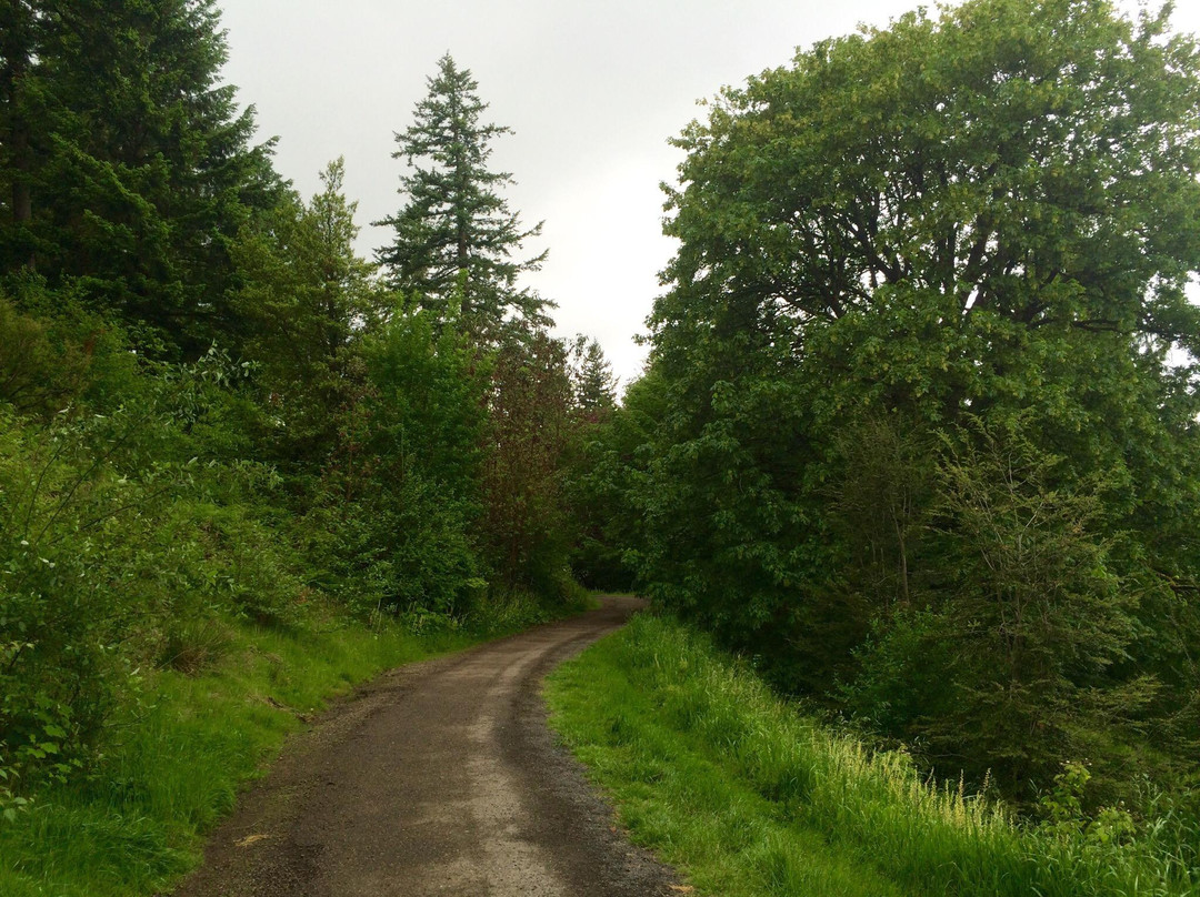 华盛顿公园-波特兰必去景点