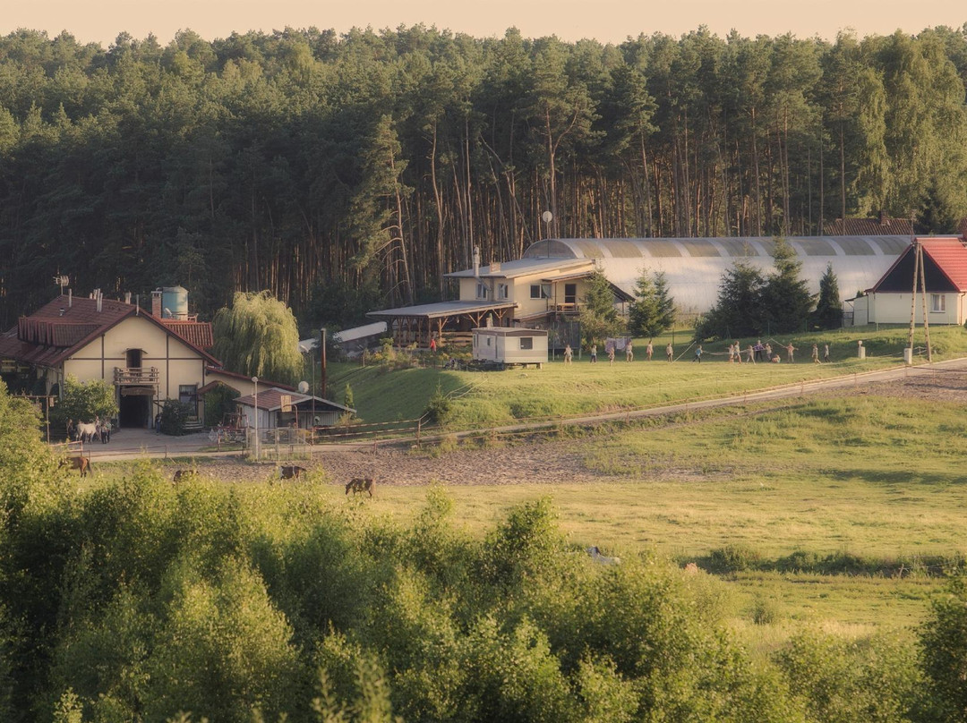 Gniew酒店住宿-Pensjonat Iskra