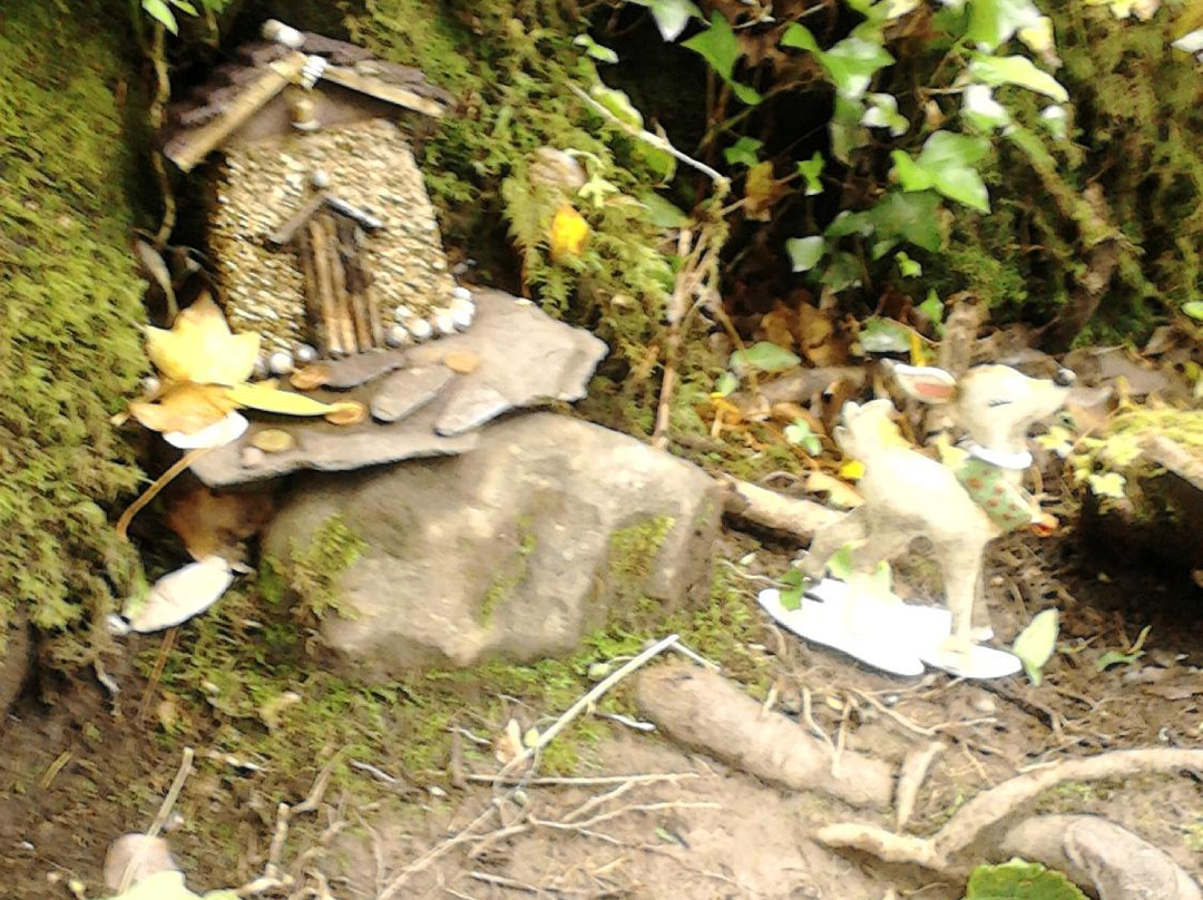 Irish Fairy Trails-Caherdaniel必去景点