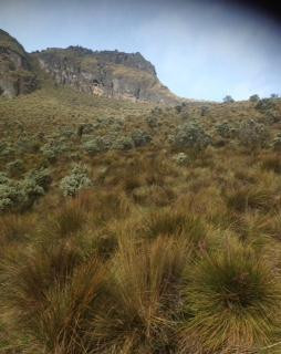 Nevados Santa Isabel-Manizales必去景点