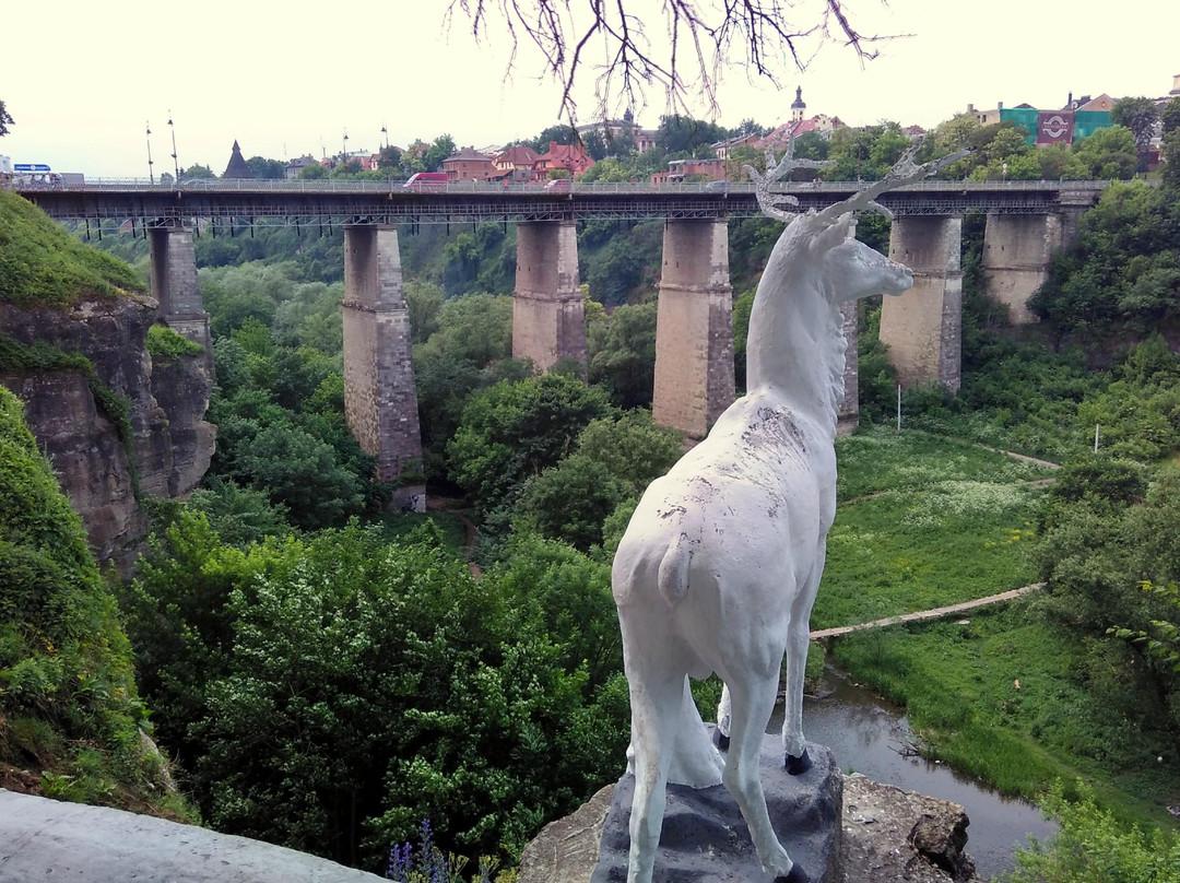 Novoplanivskiy Bridge-Kamianets-Podilskyi必去景点