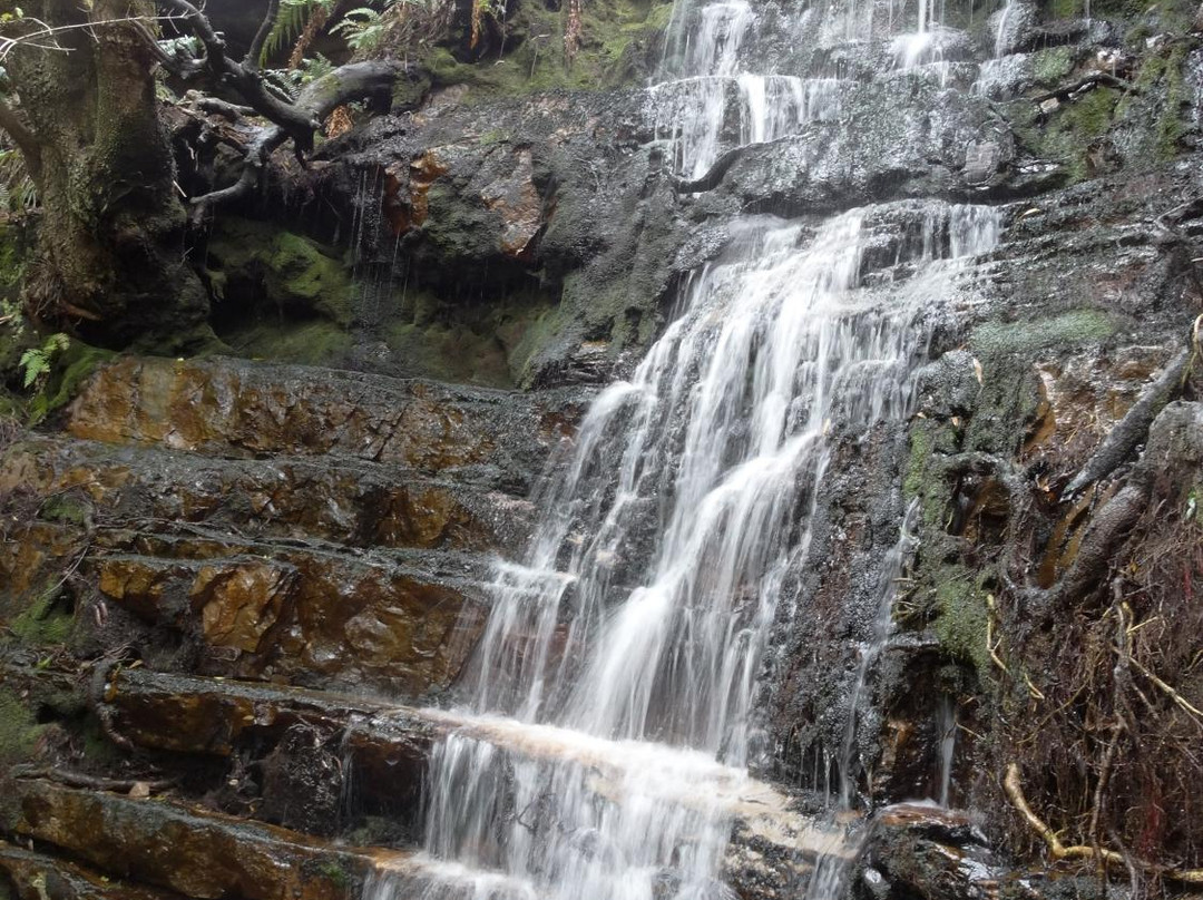 Cape Town Hiking with Tim Lundy -  Tours-Kenilworth必去景点