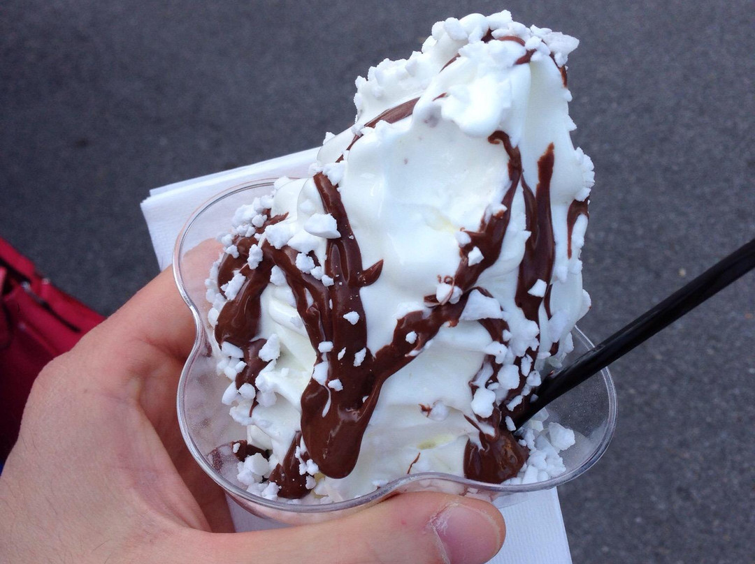 Gelateria Dolcefreddo-奥德尔佐必去景点