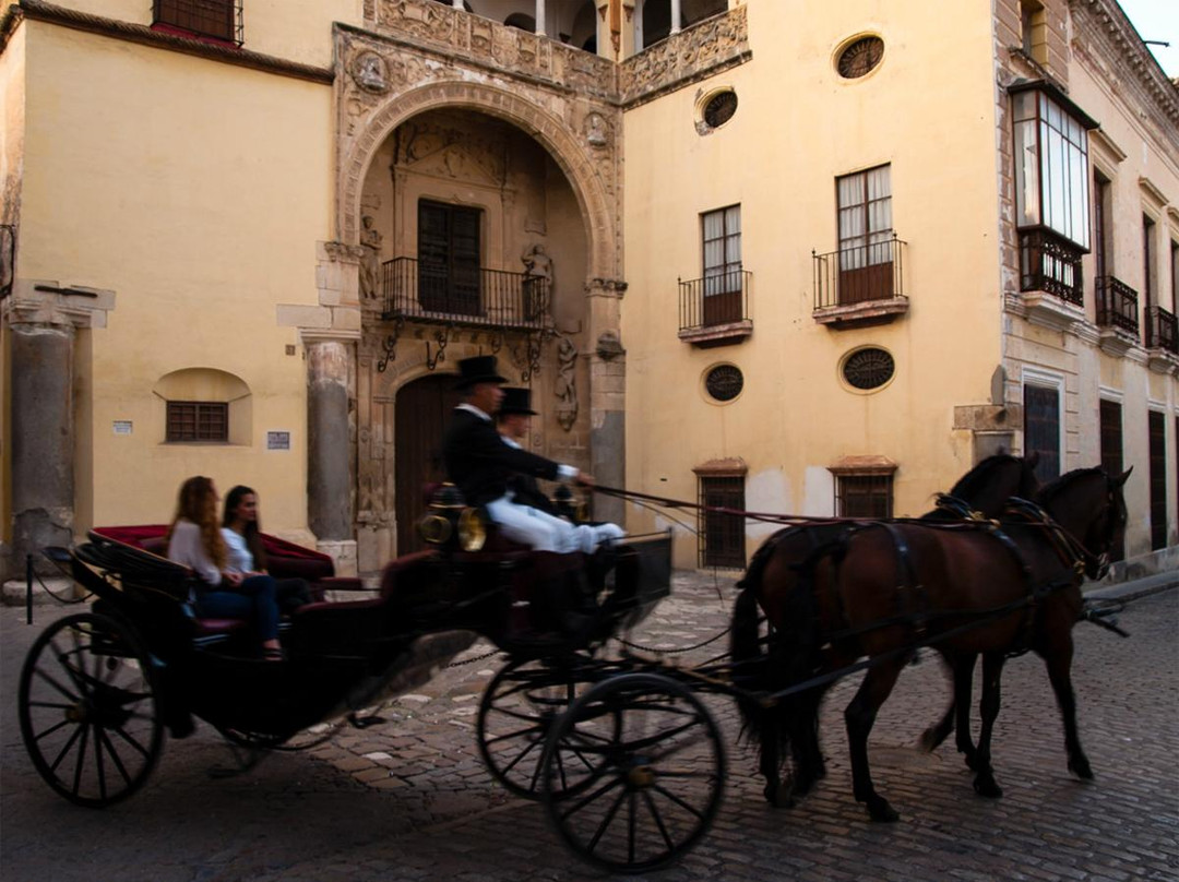 Palacio de Valdehermoso景点图片