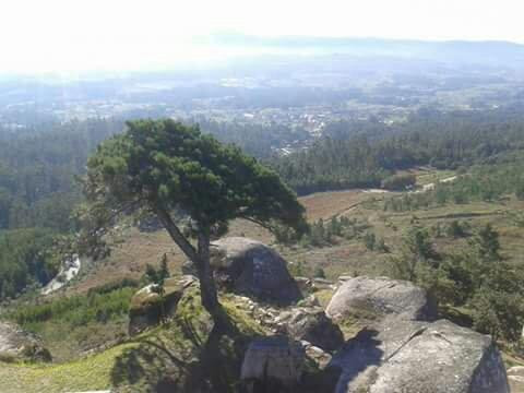 Mirador Monte Lobeira景点图片