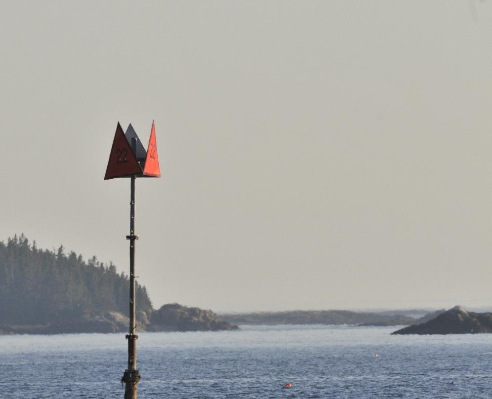 Blue Yonder Sail Charters - Day Tours景点图片