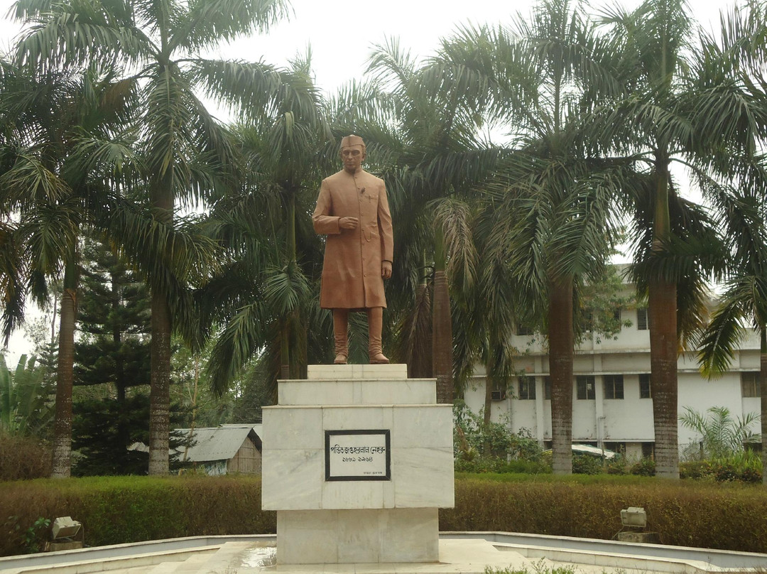 Nehru Park景点图片