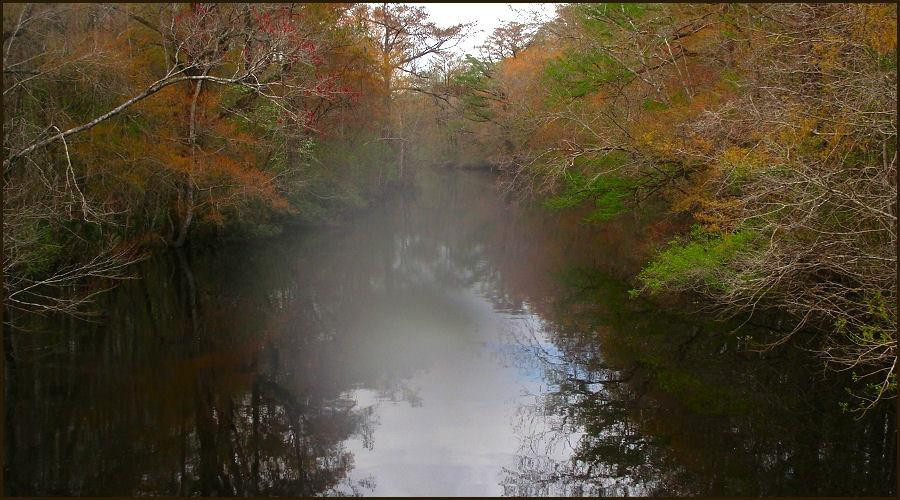 Wambaw Creek Wilderness Canoe Trail景点图片