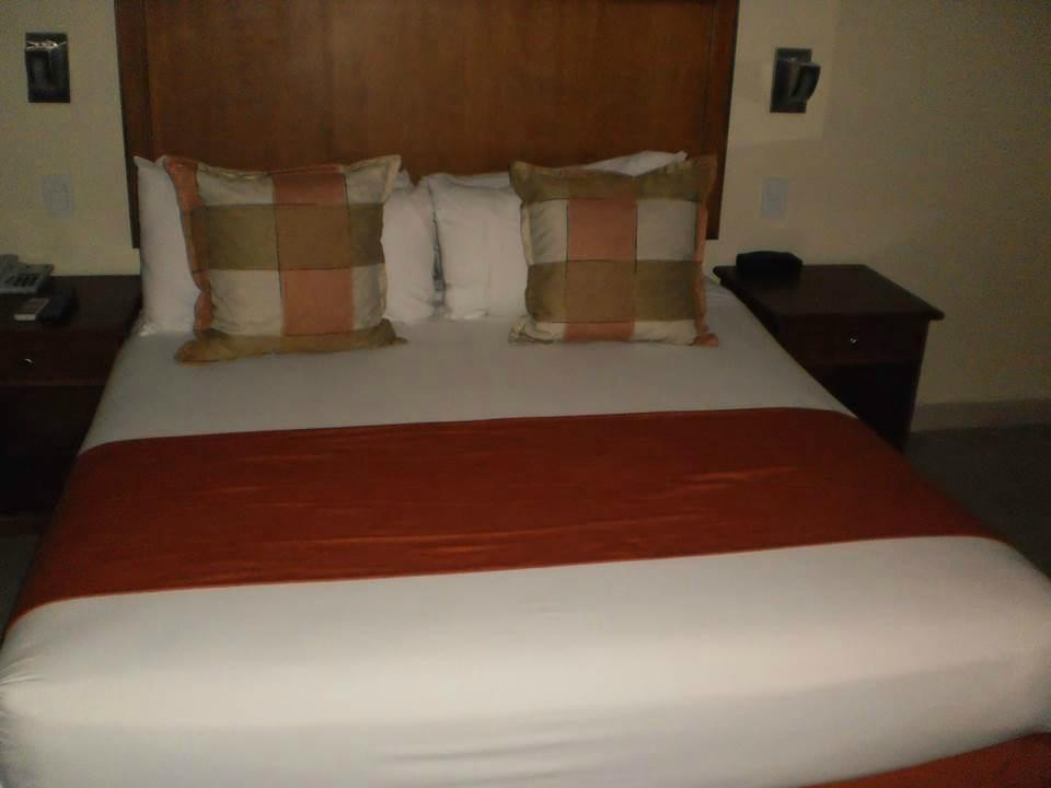 D & D Inn Tibana Apure主图