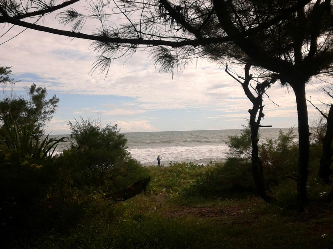 Goa Cemara Beach景点图片
