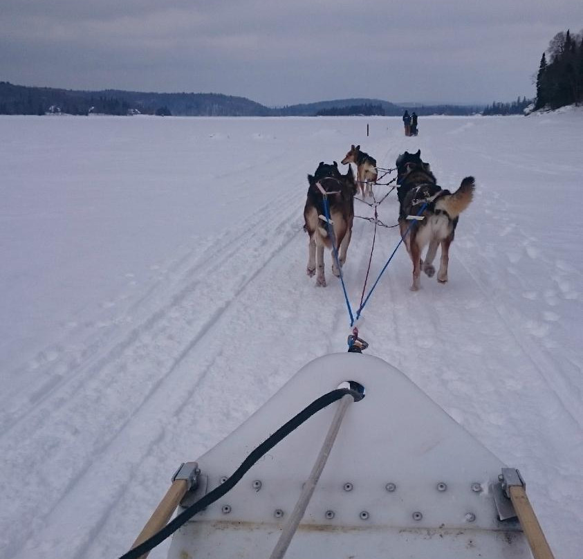 Expéditions Hautes-Laurentides-Riviere-Rouge必去景点