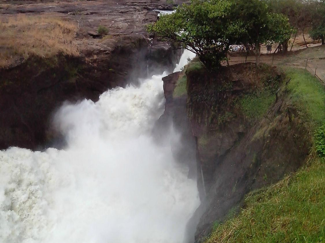 Upper Nile Safaris-坎帕拉必去景点