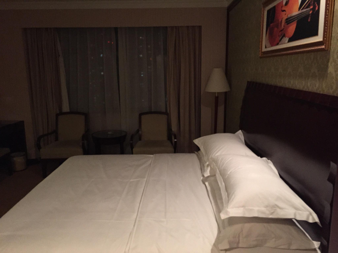 维也纳国际酒店上海火车站龙门店主图