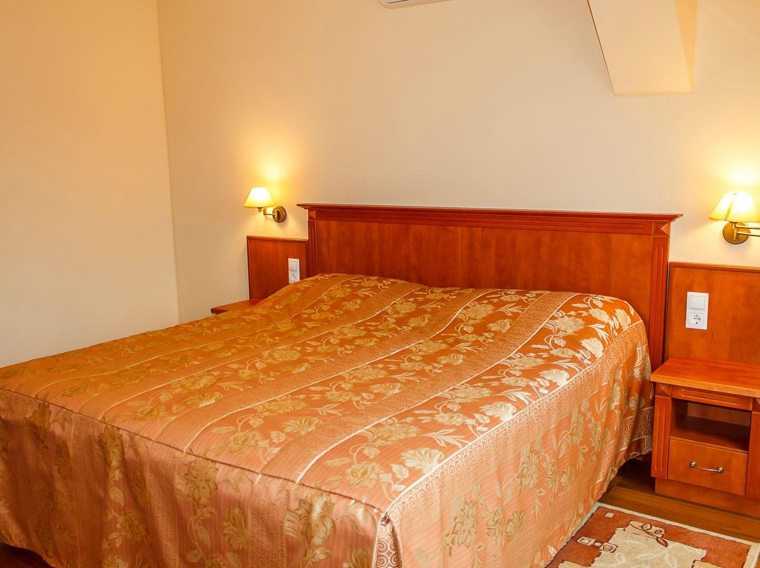 Pannon Hotel主图