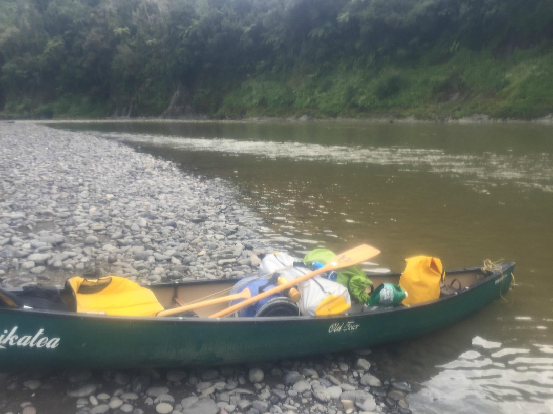 Unique Whanganui River Experience-旺加努伊必去景点